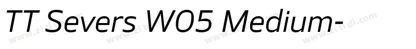 TT Severs W05 Medium字体转换